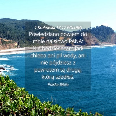 Picture 04 - 1 Królewska 13:17 POLUBG - Powiedziano bowiem do mnie na słowo PANA: Nie - Bible Verse Picture