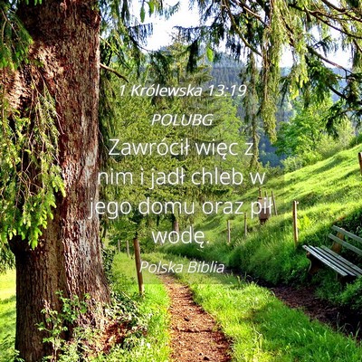 Picture 04 - 1 Królewska 13:19 POLUBG - Zawrócił więc z nim i jadł chleb w jego domu - Bible Verse Picture