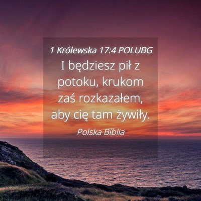 Picture 04 - 1 Królewska 17:4 POLUBG - I będziesz pił z potoku, krukom zaś - Bible Verse Picture
