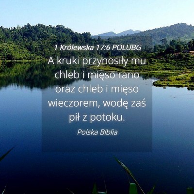 Picture 04 - 1 Królewska 17:6 POLUBG - A kruki przynosiły mu chleb i mięso rano oraz - Bible Verse Picture