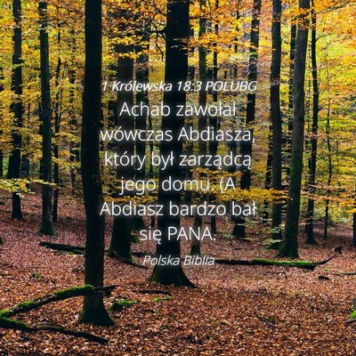 Picture 04 - 1 Królewska 18:3 POLUBG - Achab zawołał wówczas Abdiasza, który był - Bible Verse Picture