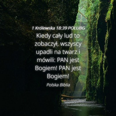 Picture 04 - 1 Królewska 18:39 POLUBG - Kiedy cały lud to zobaczył, wszyscy upadli na - Bible Verse Picture