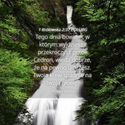 Picture 04 - 1 Królewska 2:37 POLUBG - Tego dnia bowiem, w którym wyjdziesz i - Bible Verse Picture