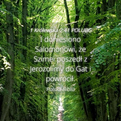 Picture 04 - 1 Królewska 2:41 POLUBG - I doniesiono Salomonowi, że Szimei poszedł z - Bible Verse Picture