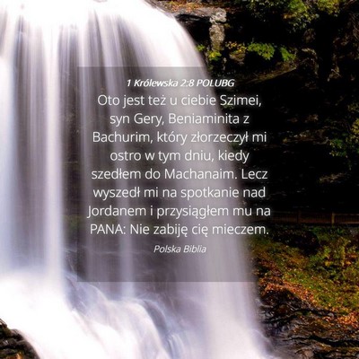 Picture 04 - 1 Królewska 2:8 POLUBG - Oto jest też u ciebie Szimei, syn Gery, - Bible Verse Picture