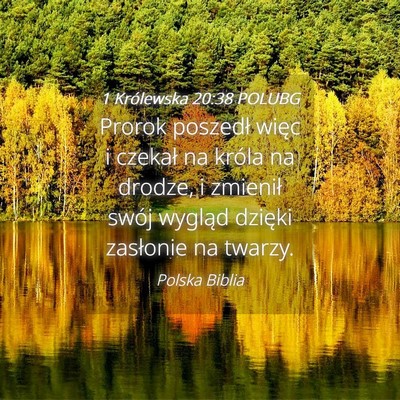 Picture 04 - 1 Królewska 20:38 POLUBG - Prorok poszedł więc i czekał na króla na - Bible Verse Picture