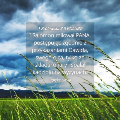 Picture 04 - 1 Królewska 3:3 POLUBG - I Salomon miłował PANA, postępując zgodnie z - Bible Verse Picture