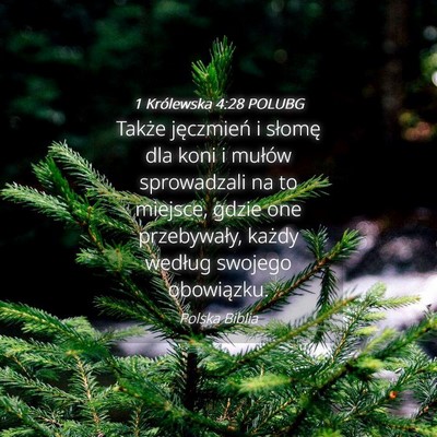 Picture 04 - 1 Królewska 4:28 POLUBG - Także jęczmień i słomę dla koni i mułów - Bible Verse Picture