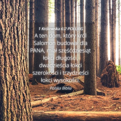 Picture 04 - 1 Królewska 6:2 POLUBG - A ten dom, który król Salomon budował dla - Bible Verse Picture