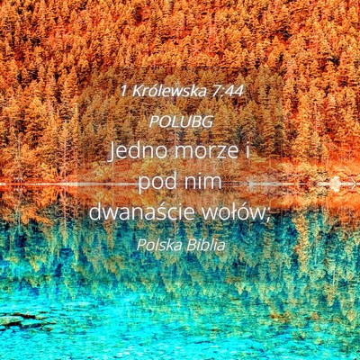 Picture 04 - 1 Królewska 7:44 POLUBG - Jedno morze i pod nim dwanaście - Bible Verse Picture