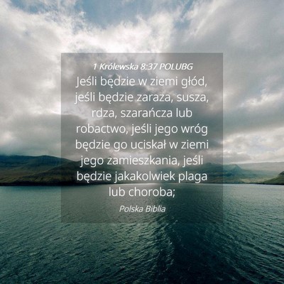 Picture 04 - 1 Królewska 8:37 POLUBG - Jeśli będzie w ziemi głód, jeśli będzie - Bible Verse Picture