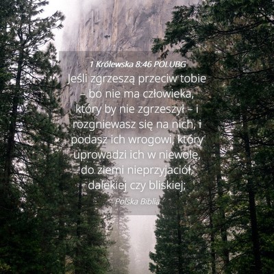 Picture 04 - 1 Królewska 8:46 POLUBG - Jeśli zgrzeszą przeciw tobie – bo nie ma - Bible Verse Picture