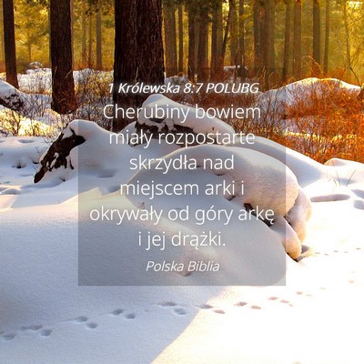 Picture 04 - 1 Królewska 8:7 POLUBG - Cherubiny bowiem miały rozpostarte skrzydła nad - Bible Verse Picture