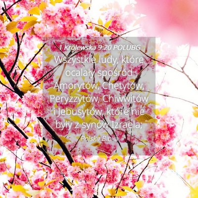 Picture 04 - 1 Królewska 9:20 POLUBG - Wszystkie ludy, które ocalały spośród - Bible Verse Picture