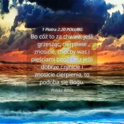 Picture 04 - 1 Piotra 2:20 POLUBG - Bo cóż to za chwała, jeśli grzesząc, - Bible Verse Picture