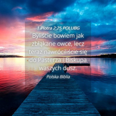 Picture 04 - 1 Piotra 2:25 POLUBG - Byliście bowiem jak zbłąkane owce, lecz teraz - Bible Verse Picture