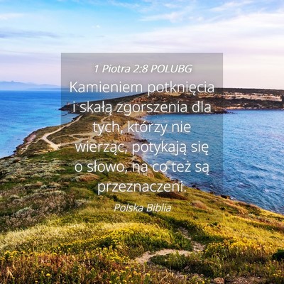 Picture 04 - 1 Piotra 2:8 POLUBG - Kamieniem potknięcia i skałą zgorszenia dla - Bible Verse Picture