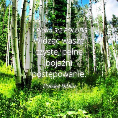 Picture 04 - 1 Piotra 3:2 POLUBG - Widząc wasze czyste, pełne bojaźni - Bible Verse Picture