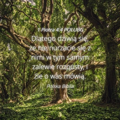 Picture 04 - 1 Piotra 4:4 POLUBG - Dlatego dziwią się, że nie nurzacie się z - Bible Verse Picture