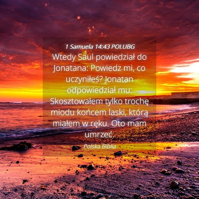 Picture 04 - 1 Samuela 14:43 POLUBG - Wtedy Saul powiedział do Jonatana: Powiedz mi, - Bible Verse Picture