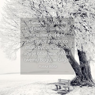 Picture 04 - 1 Samuela 15:21 POLUBG - Lud natomiast wziął z łupu owce i woły, - Bible Verse Picture