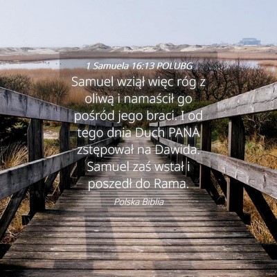 Picture 04 - 1 Samuela 16:13 POLUBG - Samuel wziął więc róg z oliwą i namaścił - Bible Verse Picture