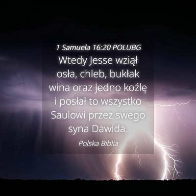 Picture 04 - 1 Samuela 16:20 POLUBG - Wtedy Jesse wziął osła, chleb, bukłak wina - Bible Verse Picture