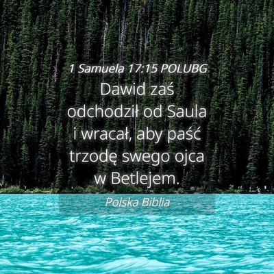 Picture 04 - 1 Samuela 17:15 POLUBG - Dawid zaś odchodził od Saula i wracał, aby - Bible Verse Picture