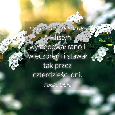 Picture 04 - 1 Samuela 17:16 POLUBG - A Filistyn występował rano i wieczorem i - Bible Verse Picture