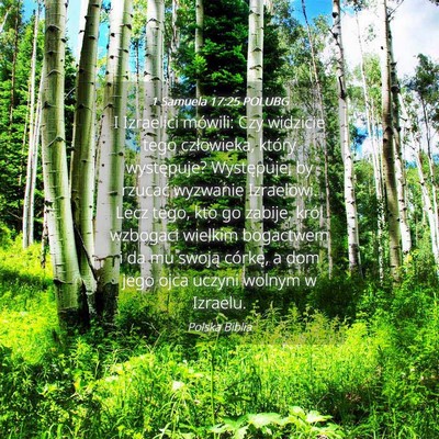 Picture 04 - 1 Samuela 17:25 POLUBG - I Izraelici mówili: Czy widzicie tego - Bible Verse Picture