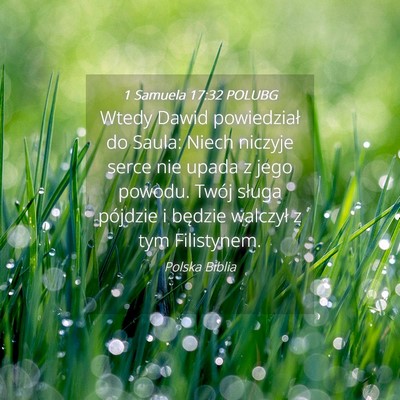 Picture 04 - 1 Samuela 17:32 POLUBG - Wtedy Dawid powiedział do Saula: Niech niczyje - Bible Verse Picture