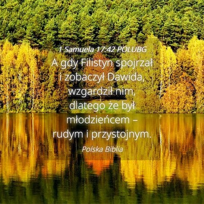 Picture 04 - 1 Samuela 17:42 POLUBG - A gdy Filistyn spojrzał i zobaczył Dawida, - Bible Verse Picture