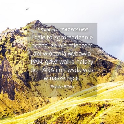 Picture 04 - 1 Samuela 17:47 POLUBG - I całe to zgromadzenie pozna, że nie mieczem - Bible Verse Picture