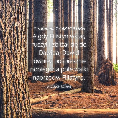Picture 04 - 1 Samuela 17:48 POLUBG - A gdy Filistyn wstał, ruszył i zbliżał się - Bible Verse Picture