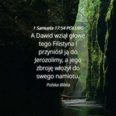 Picture 04 - 1 Samuela 17:54 POLUBG - A Dawid wziął głowę tego Filistyna i - Bible Verse Picture