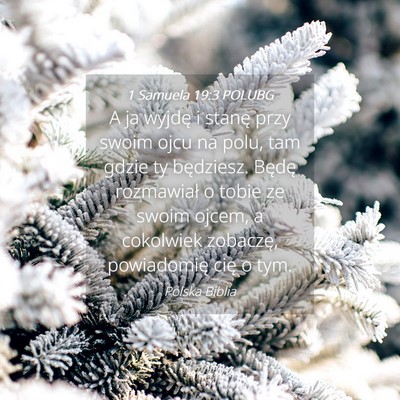Picture 04 - 1 Samuela 19:3 POLUBG - A ja wyjdę i stanę przy swoim ojcu na polu, tam - Bible Verse Picture