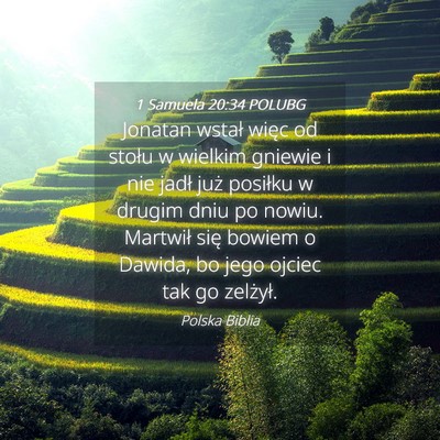 Picture 04 - 1 Samuela 20:34 POLUBG - Jonatan wstał więc od stołu w wielkim gniewie - Bible Verse Picture