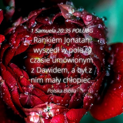 Picture 04 - 1 Samuela 20:35 POLUBG - Rankiem Jonatan wyszedł w pole o czasie - Bible Verse Picture