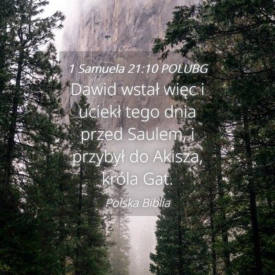 Picture 04 - 1 Samuela 21:10 POLUBG - Dawid wstał więc i uciekł tego dnia przed - Bible Verse Picture