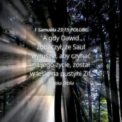 Picture 04 - 1 Samuela 23:15 POLUBG - A gdy Dawid zobaczył, że Saul wyruszył, aby - Bible Verse Picture