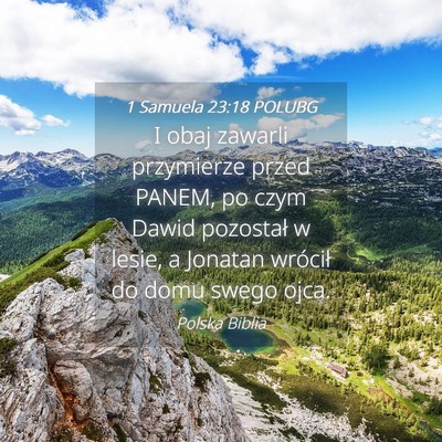 Picture 04 - 1 Samuela 23:18 POLUBG - I obaj zawarli przymierze przed PANEM, po czym - Bible Verse Picture