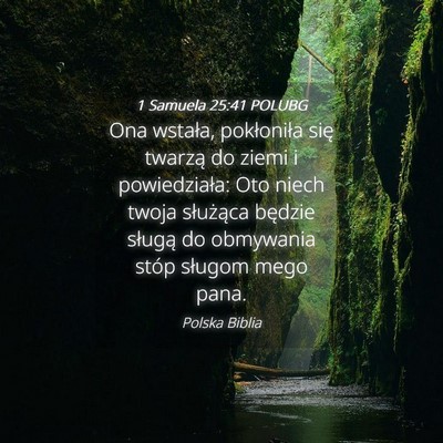 Picture 04 - 1 Samuela 25:41 POLUBG - Ona wstała, pokłoniła się twarzą do ziemi i - Bible Verse Picture