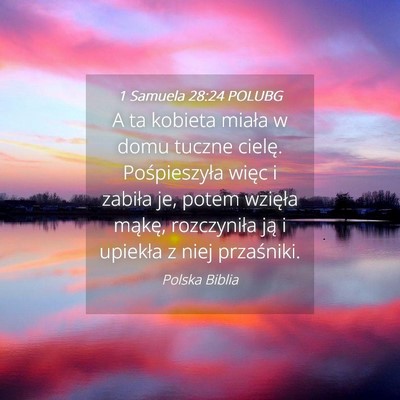 Picture 04 - 1 Samuela 28:24 POLUBG - A ta kobieta miała w domu tuczne cielę. - Bible Verse Picture