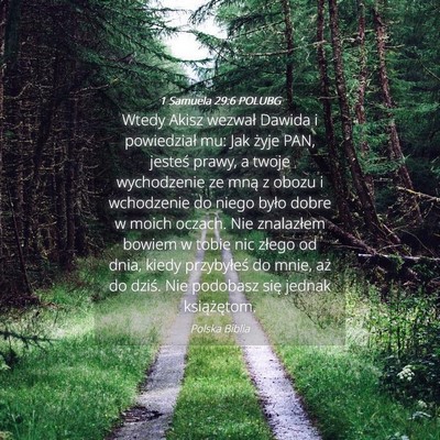Picture 04 - 1 Samuela 29:6 POLUBG - Wtedy Akisz wezwał Dawida i powiedział mu: Jak - Bible Verse Picture