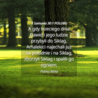 Picture 04 - 1 Samuela 30:1 POLUBG - A gdy trzeciego dnia Dawid i jego ludzie przybyli - Bible Verse Picture