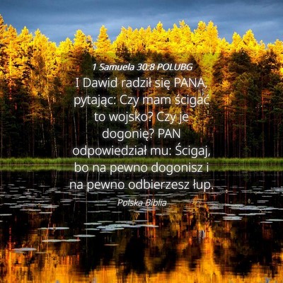 Picture 04 - 1 Samuela 30:8 POLUBG - I Dawid radził się PANA, pytając: Czy mam - Bible Verse Picture