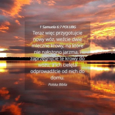 Picture 04 - 1 Samuela 6:7 POLUBG - Teraz więc przygotujcie nowy wóz, weźcie dwie - Bible Verse Picture