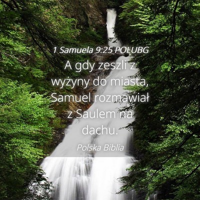 Picture 04 - 1 Samuela 9:25 POLUBG - A gdy zeszli z wyżyny do miasta, Samuel - Bible Verse Picture