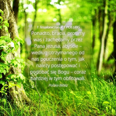 Picture 04 - 1 Tesaloniczan 4:1 POLUBG - Ponadto, bracia, prosimy was i zachęcamy przez - Bible Verse Picture