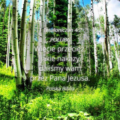 Picture 04 - 1 Tesaloniczan 4:2 POLUBG - Wiecie przecież, jakie nakazy daliśmy wam przez - Bible Verse Picture